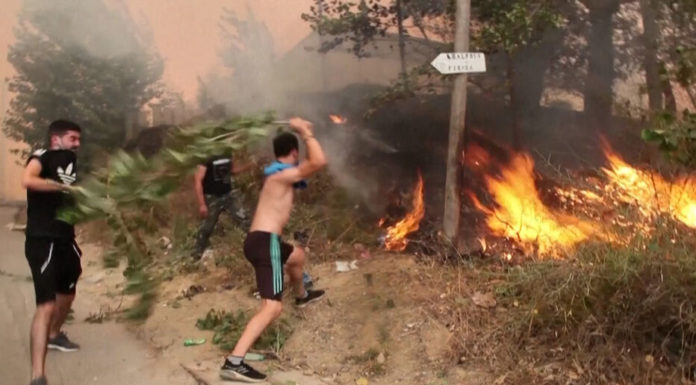 Les incendies dévastateurs en Kabylie : Une tragédie répétée et mal gérée