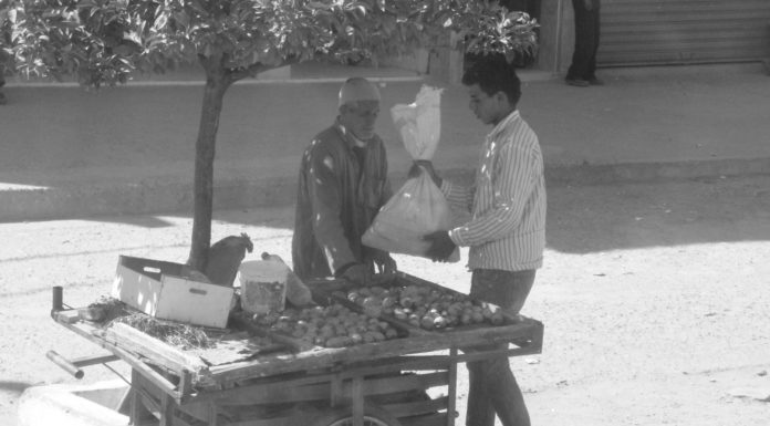 Les arabes d’Afrique du nord, sont-ils, en réalité, des berbères ?